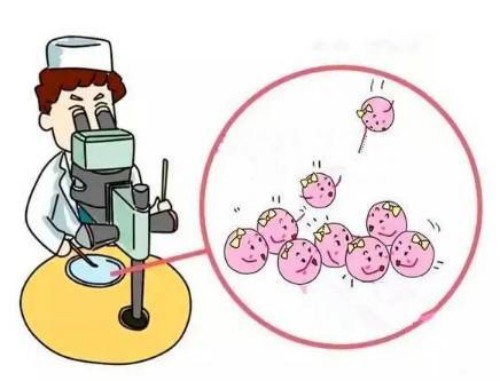 上海市：哪些国家是允许未婚女性做试管的-为什么国内会禁止呢-