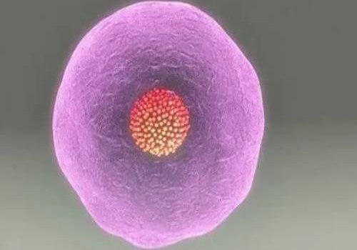 徐州试管助孕公司：新生儿补钙很重要，这些方式都能帮助新生儿补充钙元素